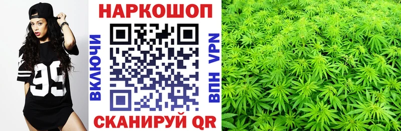 Хочу наркоту Дмитровск Амфетамин  Галлюциногенные грибы  МЕФ  Гашиш  KRAKEN зеркало  APVP 