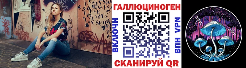 даркнет сайт  Дмитровск  Псилоцибиновые грибы Cubensis 