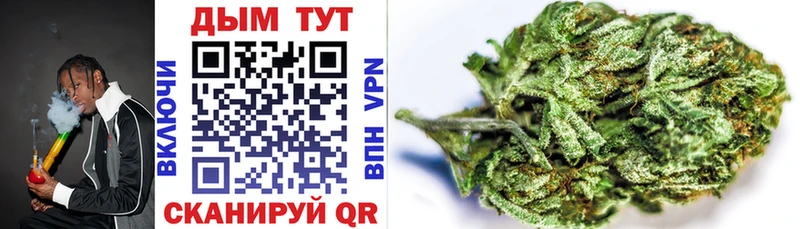 закладка  Дмитровск  Каннабис THC 21% 